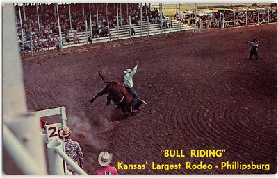 BULL RIDING Phillipsburg, Kansas RODEO Cowboys Western Vintage Postcard ...