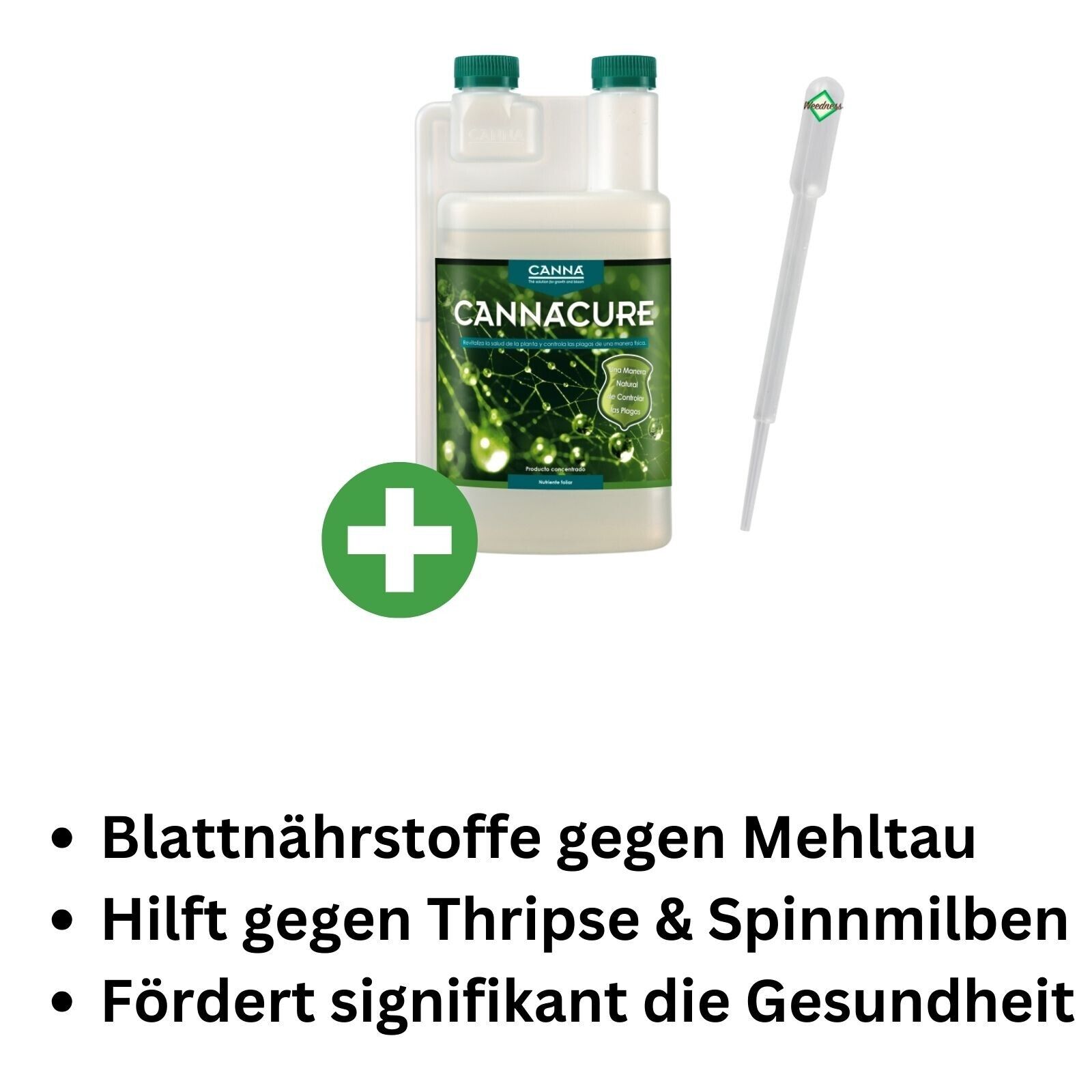 Bild 7 von 9