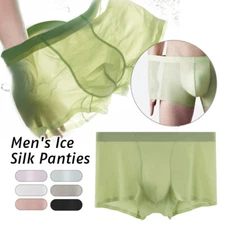 Men Sexy Sheer Ice Silk Boxer Briefs Pouch Panties Seamless Trunks Underwear