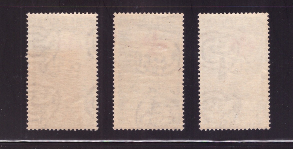 Foto 2 di 2