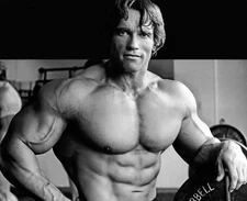 Arnold Schwarzenegger Posing Shirtless 4x6 PHOTO PRINT