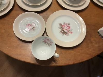 Noritake Nippon Toki Kaisha 23 Piece Set Tea Set Rose Pattern | eBay