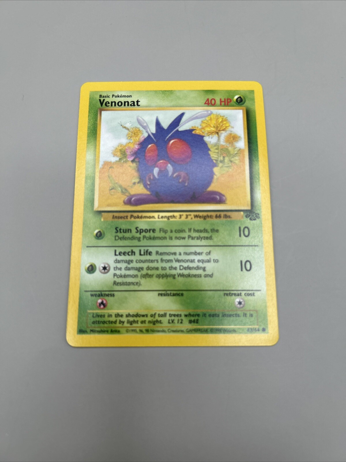 1st Edition Venonat 63/64 - Jungle - Near Mint