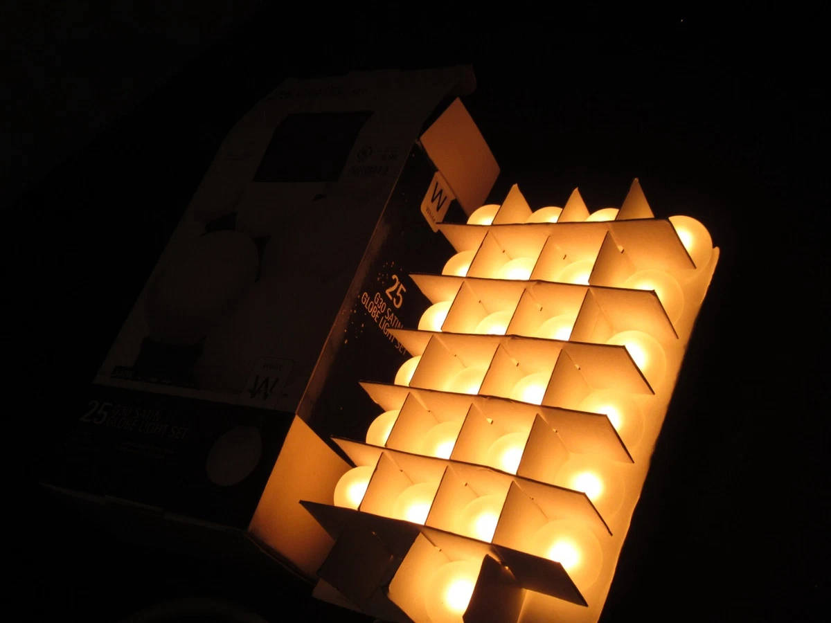 Best globe sale lights
