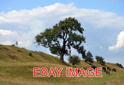 FOTO BURROUGH HILL WEITERE AUFNAHMEN DER EISENZEITLICHEN FESTUNG AM BURROUGH HILL ZEIGEN EINE