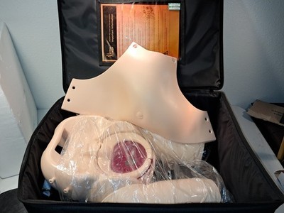 Limbs N' Things Prompt Flex Advanced Birth Simulator