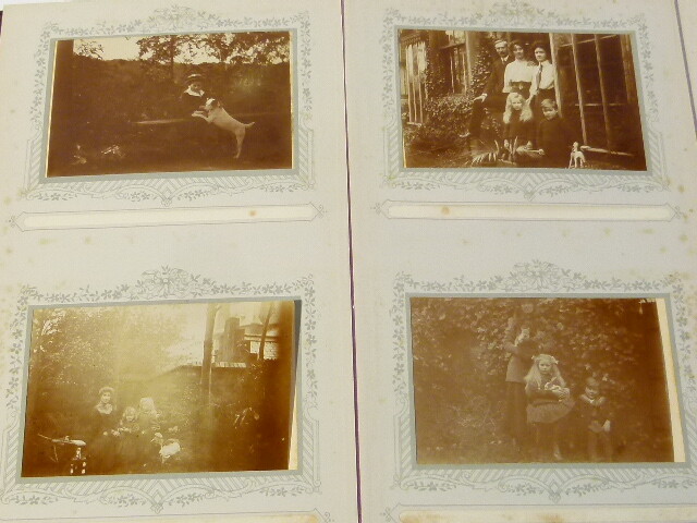 Picture 7 of 8