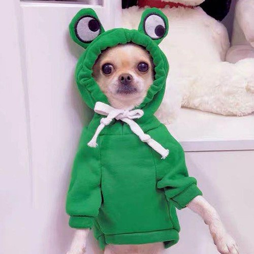 Dog Coat Hoodies Chihuahua Dog Winter Clothes Pet Dog French Cute. Green丨UK - Picture 6 of 15
