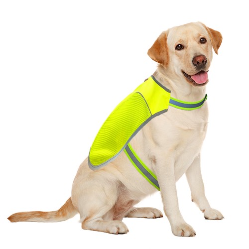 Kong Chaleco Reflectante de Seguridad para Perros Caminar Alta Visibilidad Exterior Arnés - Imagen 7 de 7