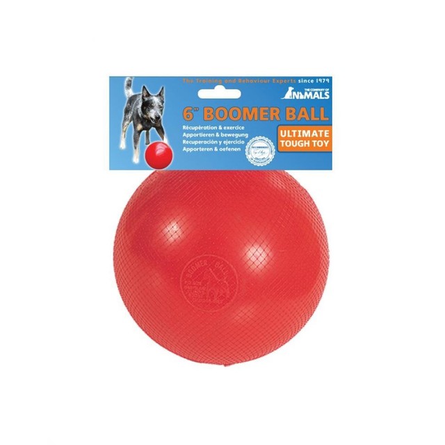boomer ball for dogs