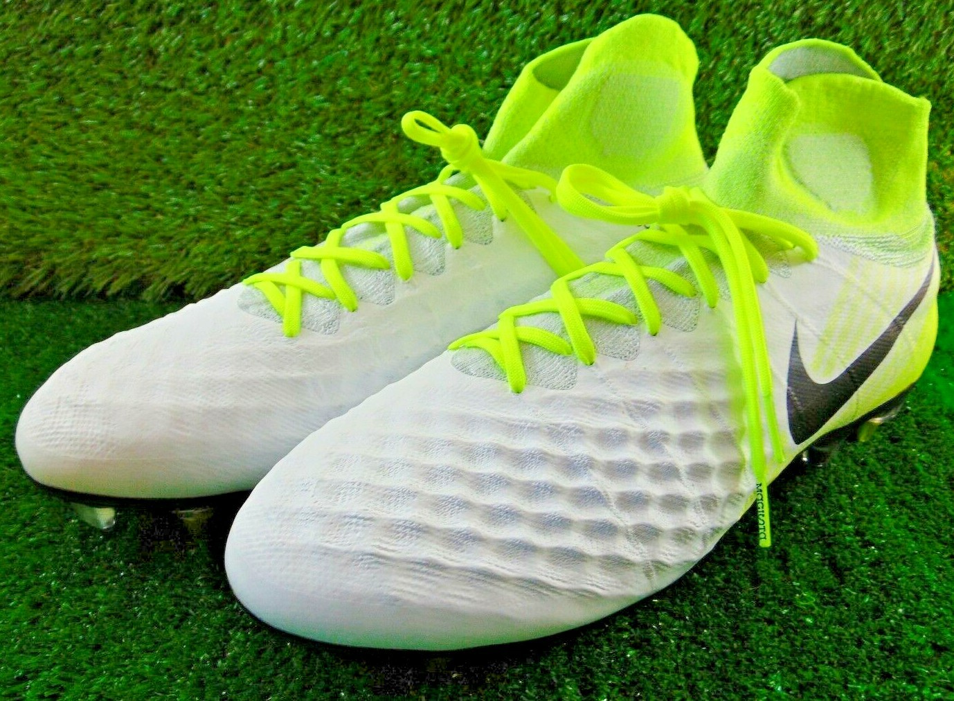 magista acc
