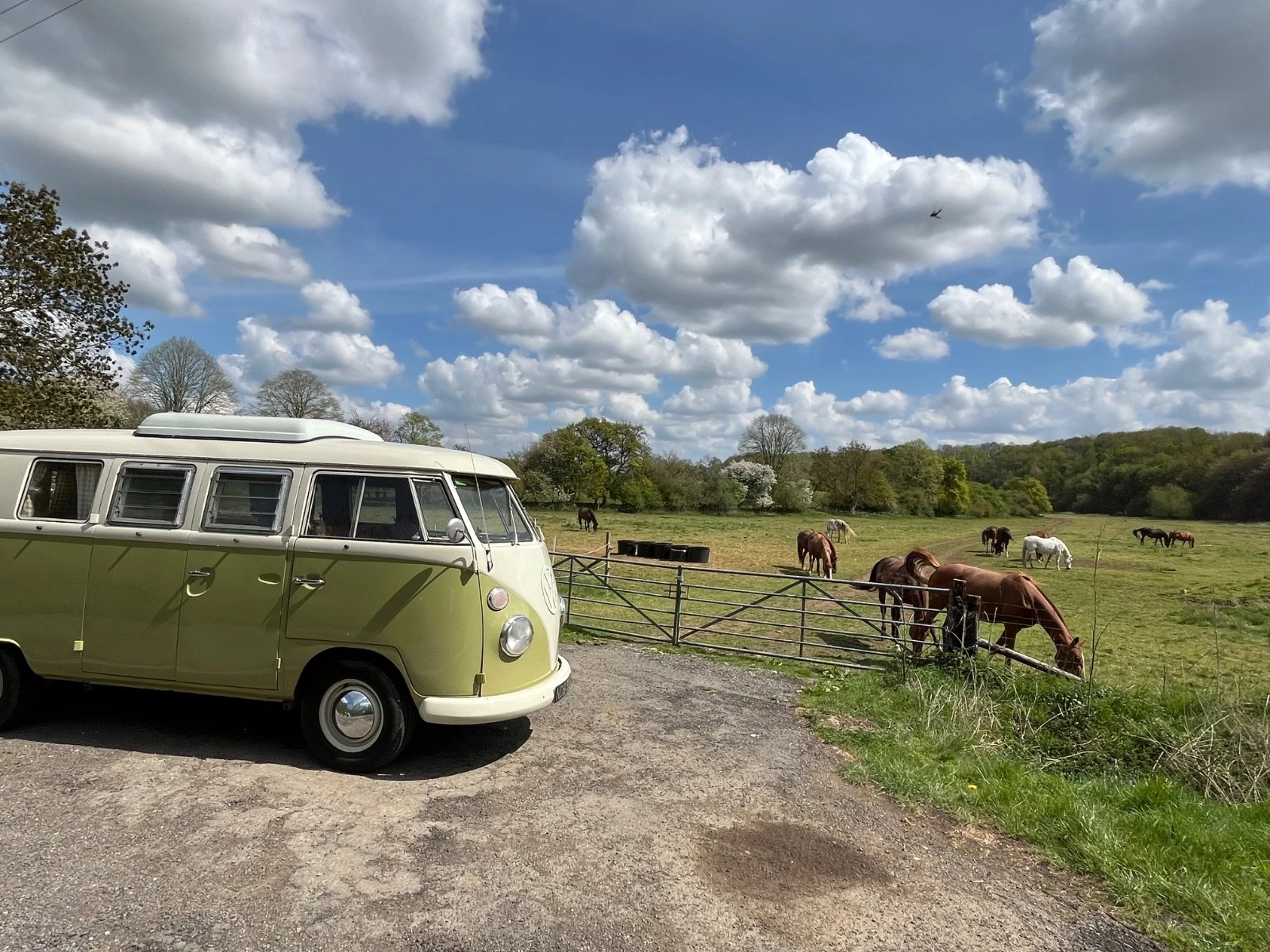 1966 Volkswagen Splitscreen Camper