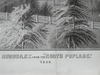 Picture 5 of 7
