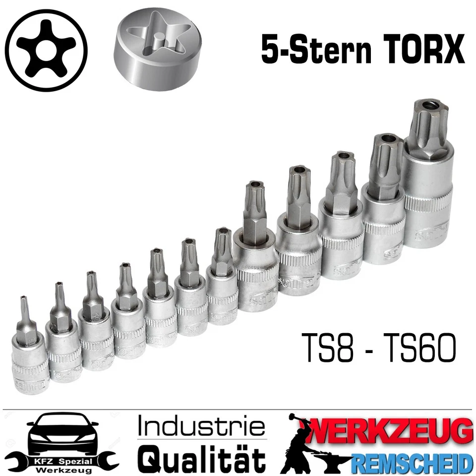 12-tlg Fünfstern TORX IPR Sicherheits Stecknuss Steckschlüssel Bits TS8 - TS60 - Bild 4 von 4