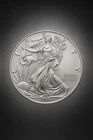 2009 WALKING LIBERTY AMERICAN EAGLE .999 FINE SILVER DOLLAR COIN 1oz. $1 USA