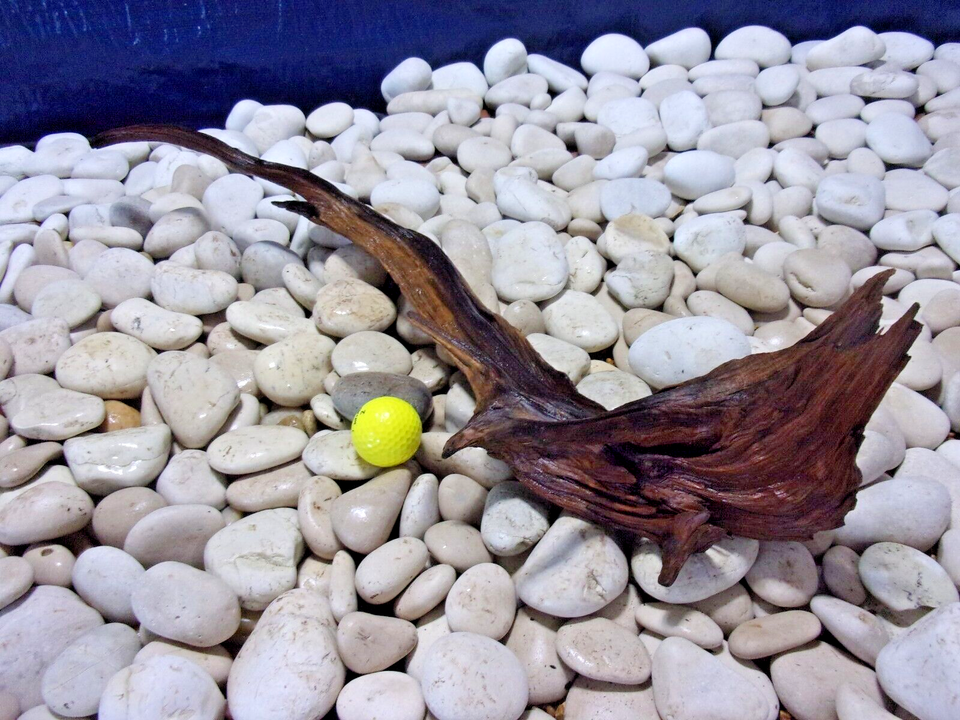 Large Driftwood Aquarium Loose Wood, Very Low Tannins, Freshwater