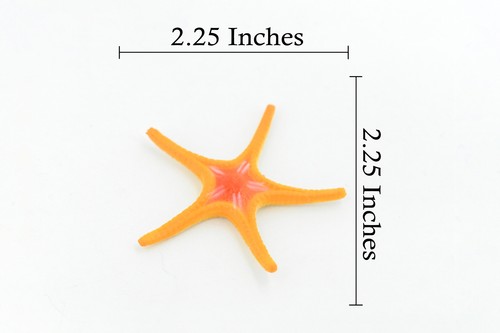 Seestern Spielzeug, Ross Sea Star, Sea Life, realistisches Kunststoffmodell, 2 1/4" F927 B158 - Bild 3 von 5