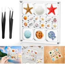 Acrylic Magnetic Seashell Display Box,Clear Sea Shell Display Box,Beach Magnet S