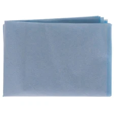 House Brand Dentistry 101128 Headrest Covers Paper/Poly 10" X 13" Blue 500/Cs