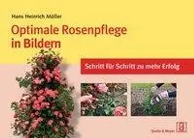 Optimale Rosenpflege in Bildern | Schritt für Schritt zu mehr Erfolg | Möller