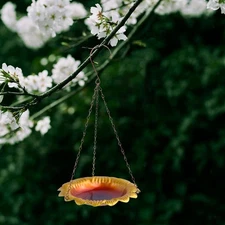 Hanging Bird Feeder Bird Bath Food Tray Pet Supplies for Porch Outside Yard