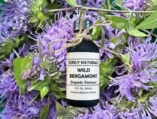 Wild Bergamont Tincture ~ Bee Balm Handcrafted Organic 2oz Tincture with Dropper