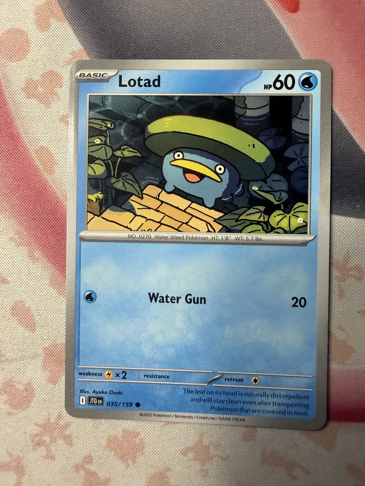 Lotad Common SV09: Journey Together 035/159 NM English
