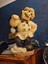 dooby_cj388