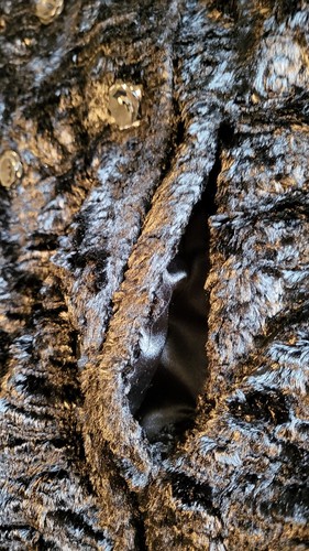 Weatherproof Black Faux Fur Button Coat - Picture 5 of 13