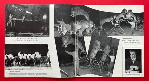 3 x Programm 1959/62 Zirkus SARRASANI ( F23576 - Bild 13 von 17