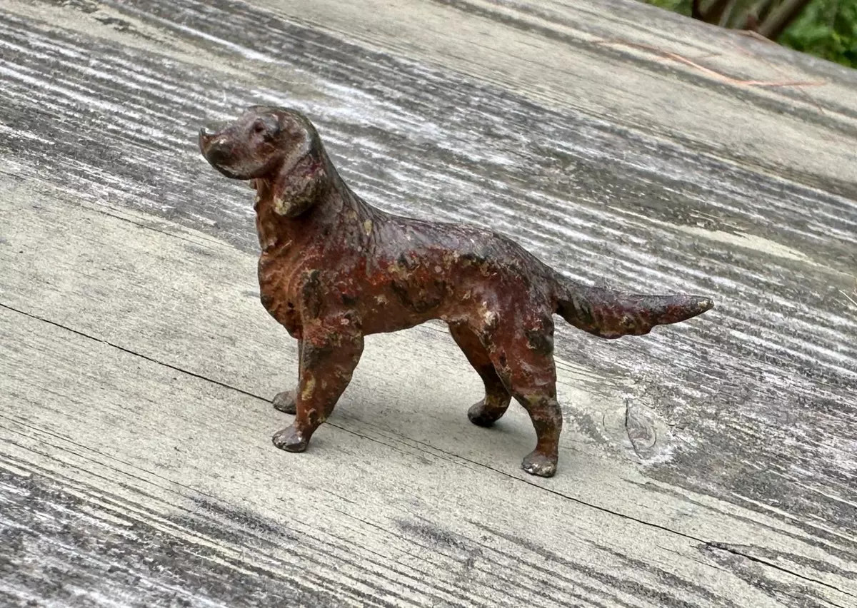 Irish setter best sale retriever