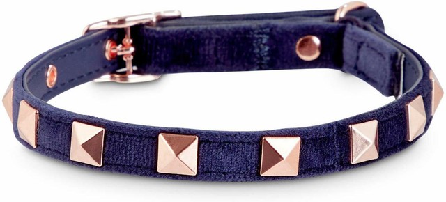 bond & co cat collar