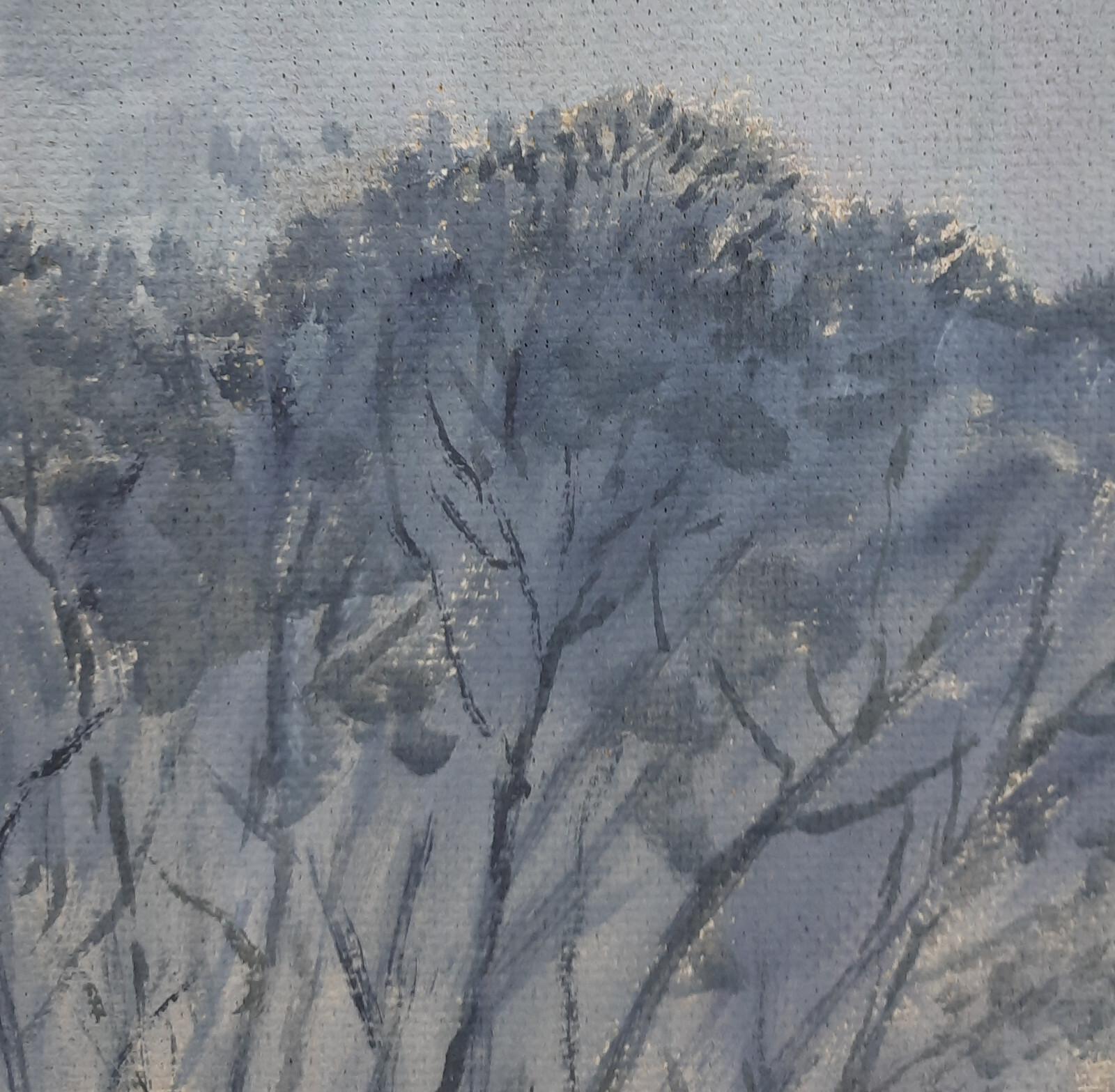 Bild 8 von 12
