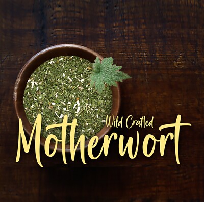 WILD MOTHERWORT HERB DRIED APOTHECARY HERBAL 4oz 100% BULK TEA Fast USA