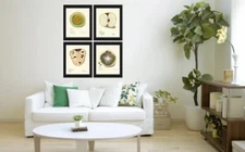 Fruit Botanical Prints Wall Art Set of 4 Beautiful Vintage Antique Unframed