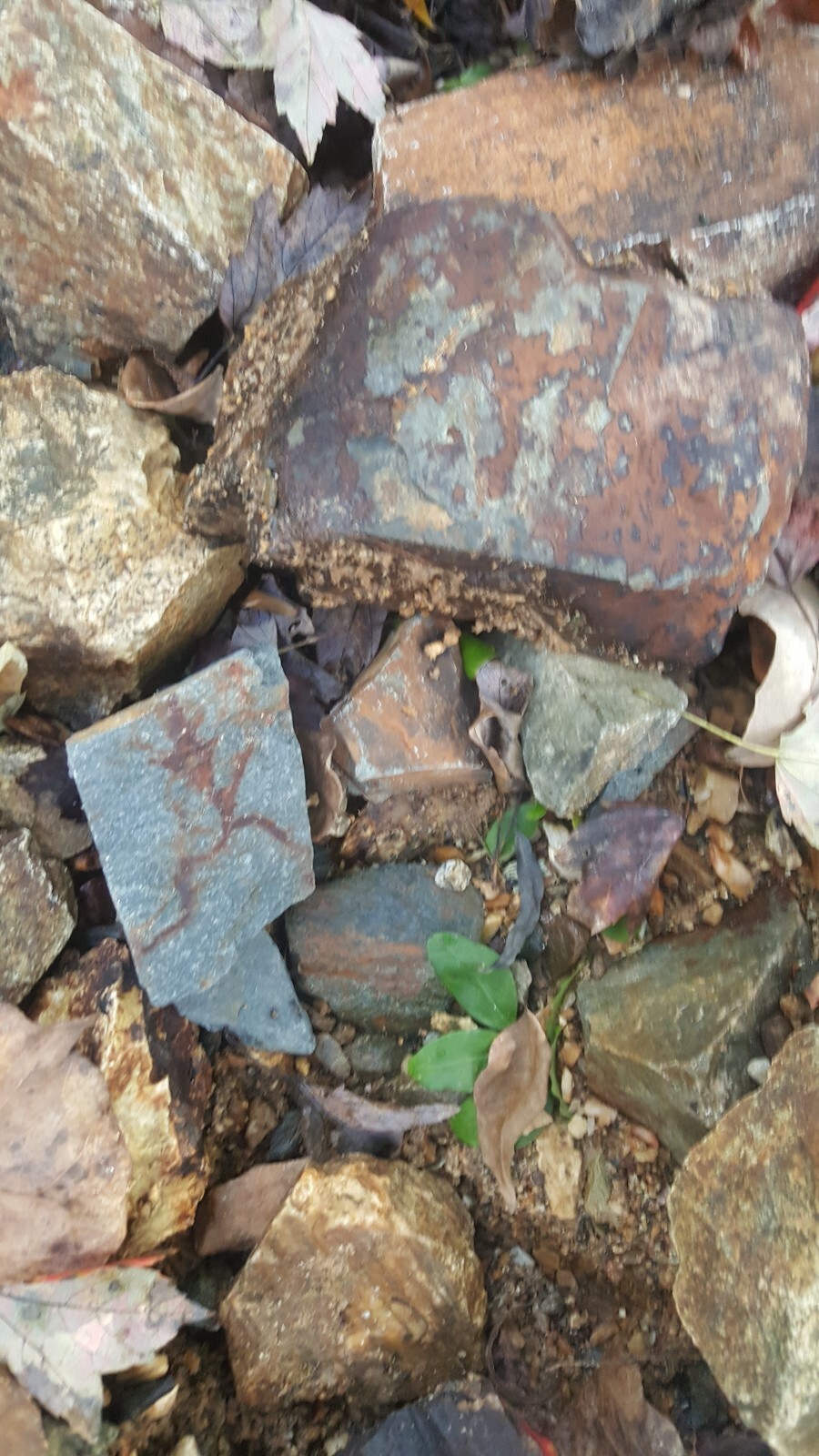 Natural Rock Assortment for Terrariums, Aquariums, Collections, gardens, ponds