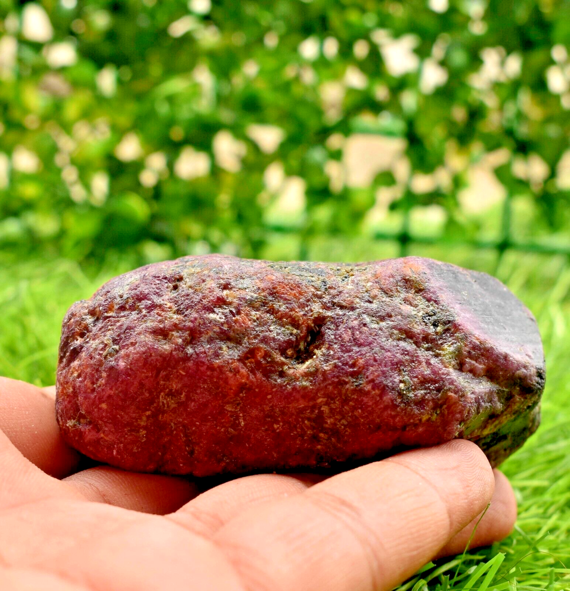 AAA Quality Natural CERTIFIED Mozambique Ruby Rough Loose Gemstone