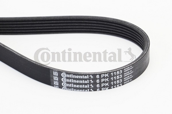 Continental CTAM 6PK1153 V-Ribbed Belt Compatible with BMW Citroen Dacia DS Fiat Ford Infiniti