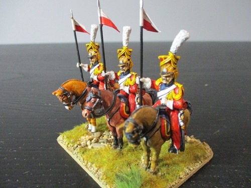 Miniaturas de primera fila Napoleónica Francesa Guardia Holandesa Lancer x12 bien pintadas - Imagen 18 de 22