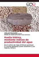 José Luis RíOs Flores (U. A.) | Huella HíDrica, Mediante íNdices De...