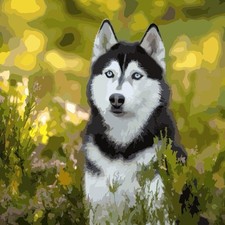 Dog Paint by Numbers Kit Nature Scenic Outdoors Stylized Artistic Design
