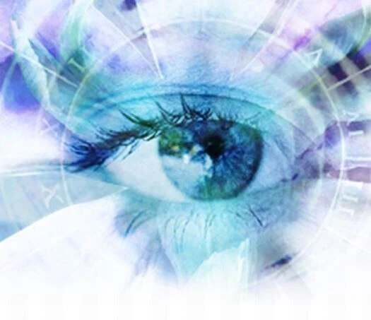 Blue Iris Pro v5.x ( Latest ) Video Camera Security Software - Full License Life - Image 3 of 4