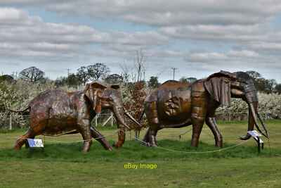 Foto 12x8 British Ironwork Centre: African Forest and Bush Elephants Woot c2019