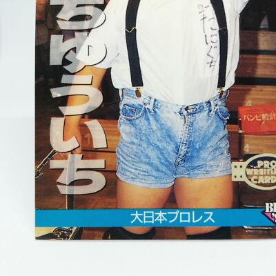 a yuichi 212 TANIGUCHI YUICHI CARD BIG JAPAN PRO WREITLING CARD BBM96 1996