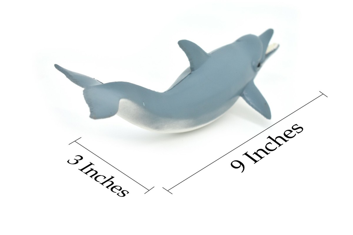 Dolphin, Realistic Model Rubber Replica Animal, Kids Toy Gift 9