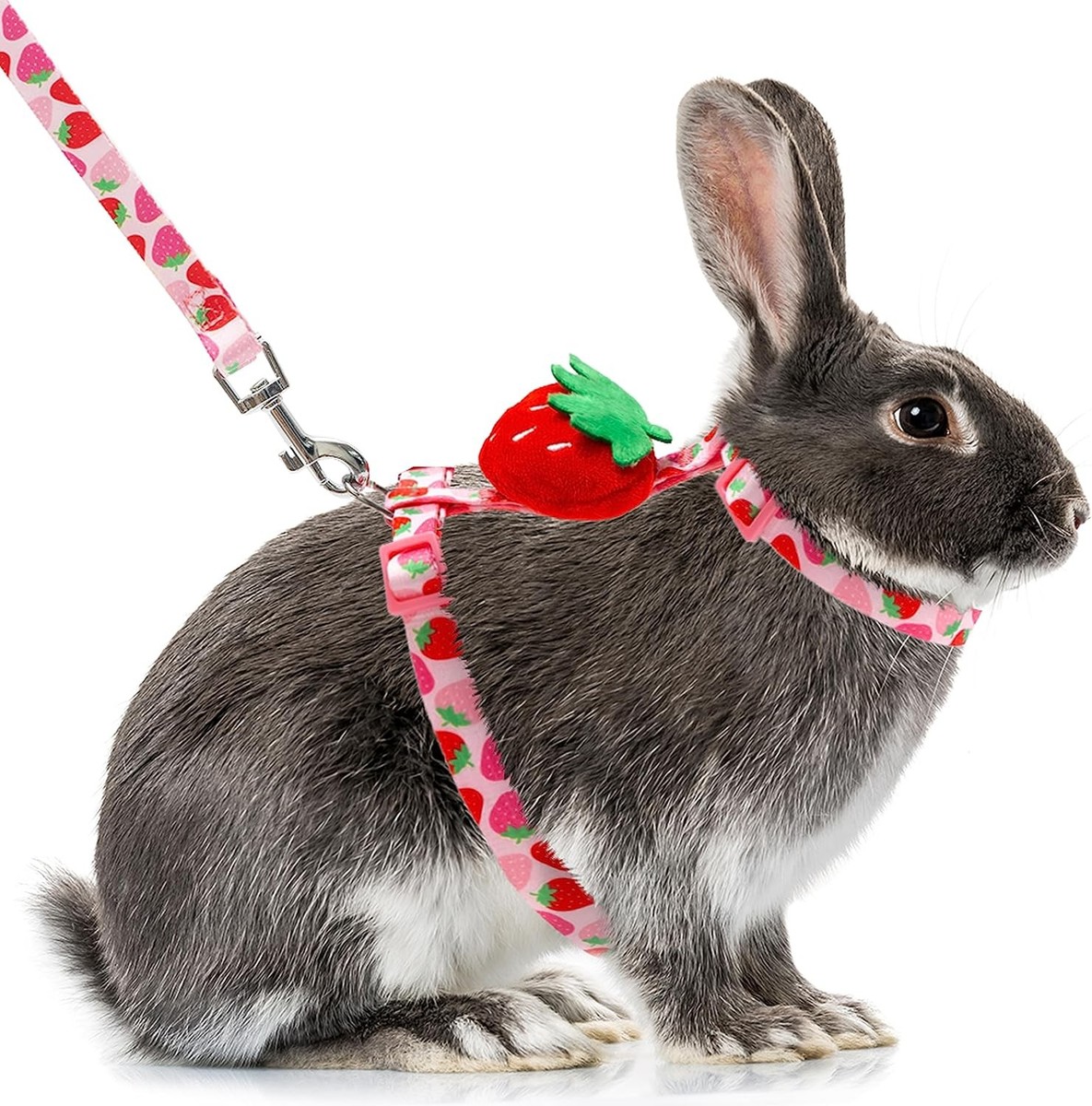 Rabbit Harness and Neck 6.3