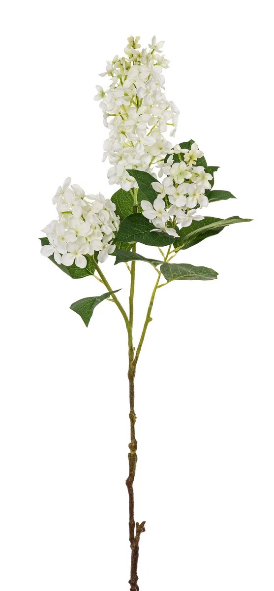 künstliche scheide kaufen Maiwipferl-Sirup – cannhelp main image 0