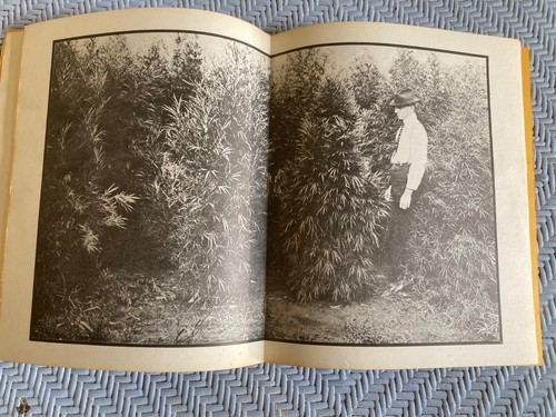 The Cultivator’s Handbook of Marijuana By Bill Drake 1st edition 1970 VF - Picture 5 of 6