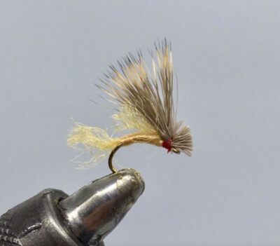 One Dozen (12) Rinker's CDC Wonderbug Dry Fly- Strike Fly Company