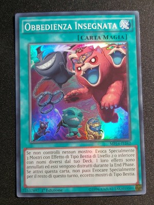 OBBEDIENZA INSEGNATA   (Obedience Schooled) MP14-IT242   Super R   Yugioh!